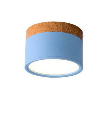 Modern Morandi LED Ceiling Light