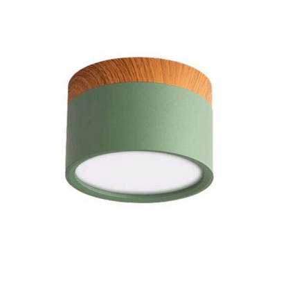Modern Morandi LED Ceiling Light