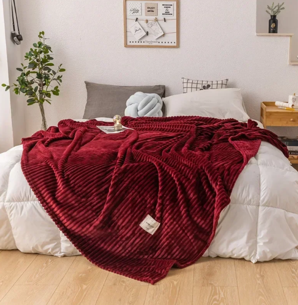 Soft Plush Throw Blanket