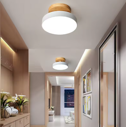 Scandinavian LED Ceiling Light