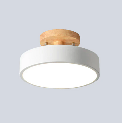 Scandinavian LED Ceiling Light