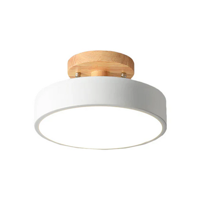 Scandinavian LED Ceiling Light