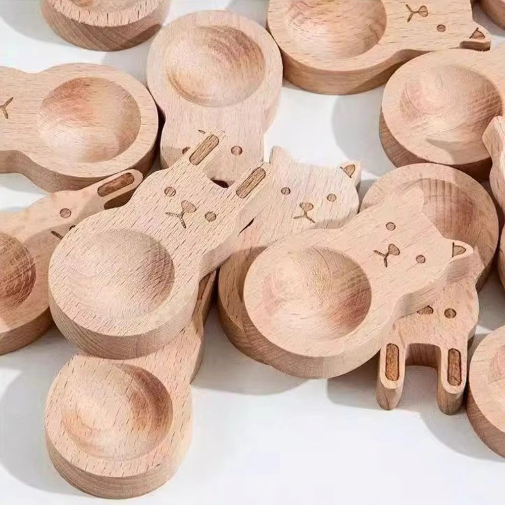 Aromatherapy Wooden Diffuser Set