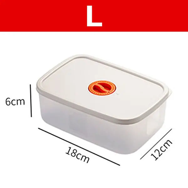 Bento Lunchbox with Compartments – Convenient Food Storage Container