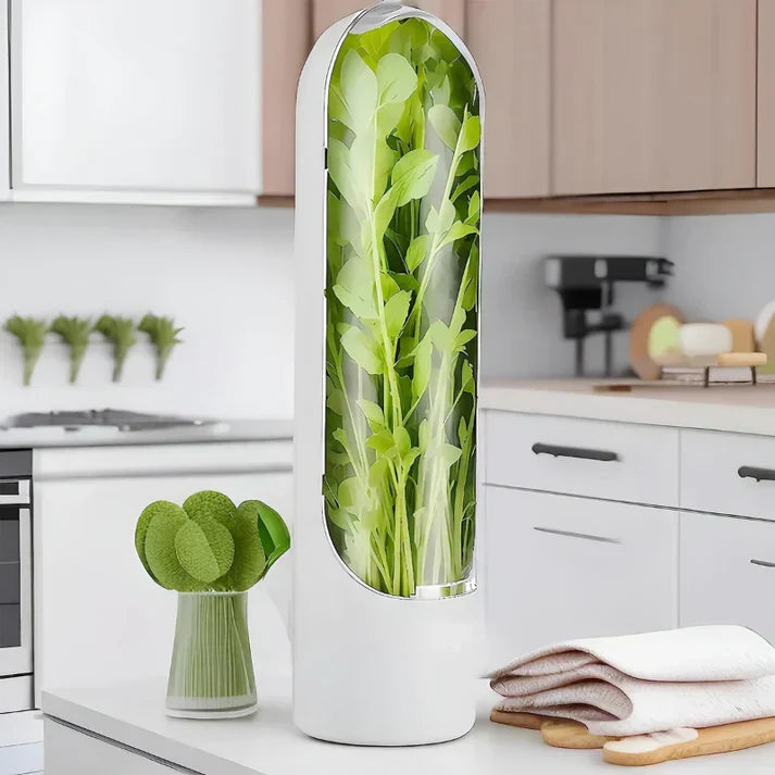 Airtight Herb Keeper – Space-Saving Storage Container for Maximum Freshness