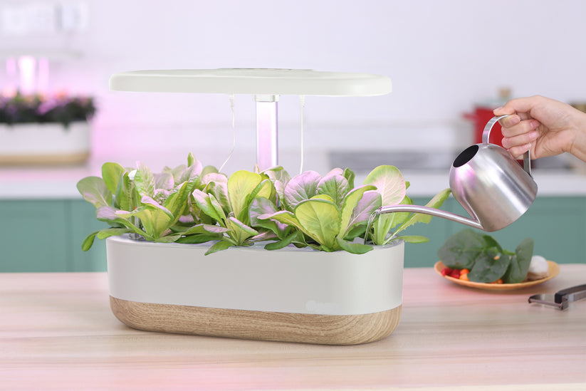 Smart Hydroponic System for Indoor Gardening - Soil-Free Plant Growth at Home