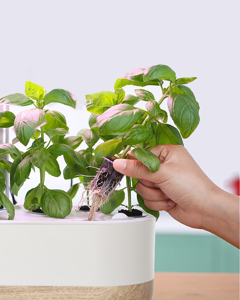Smart Hydroponic System for Indoor Gardening - Soil-Free Plant Growth at Home
