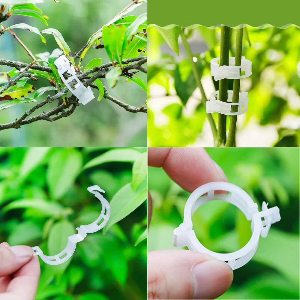Flexible Plant Stem Support Clips – Adjustable Holders for Climbing Plants