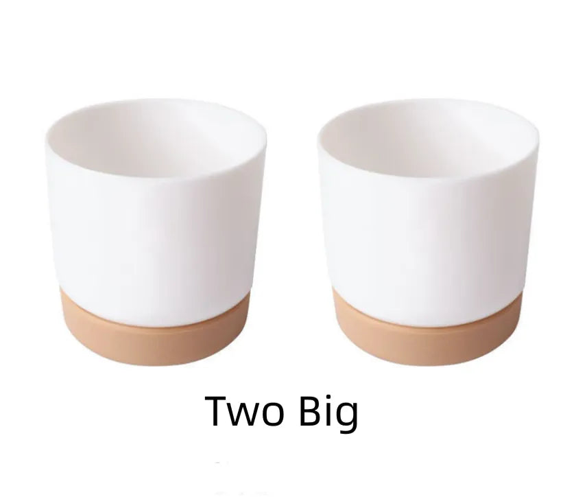 Self-Watering Planter for Orchids and Plants - Plastic Flower Pot for Easy Care