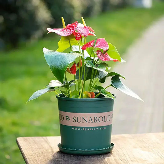 Durable Plastic Flower Pot – Weather-Resistant Planter for Garden & Balcony