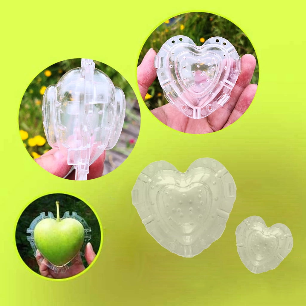 Creative Heart-Shaped Mold – Vegetable and Fruit Shaping Bowl for Unique Presentations