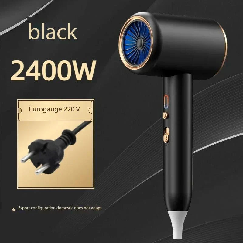 Professional 2400W Ionic Hair Dryer With Hot & Cold Air Function