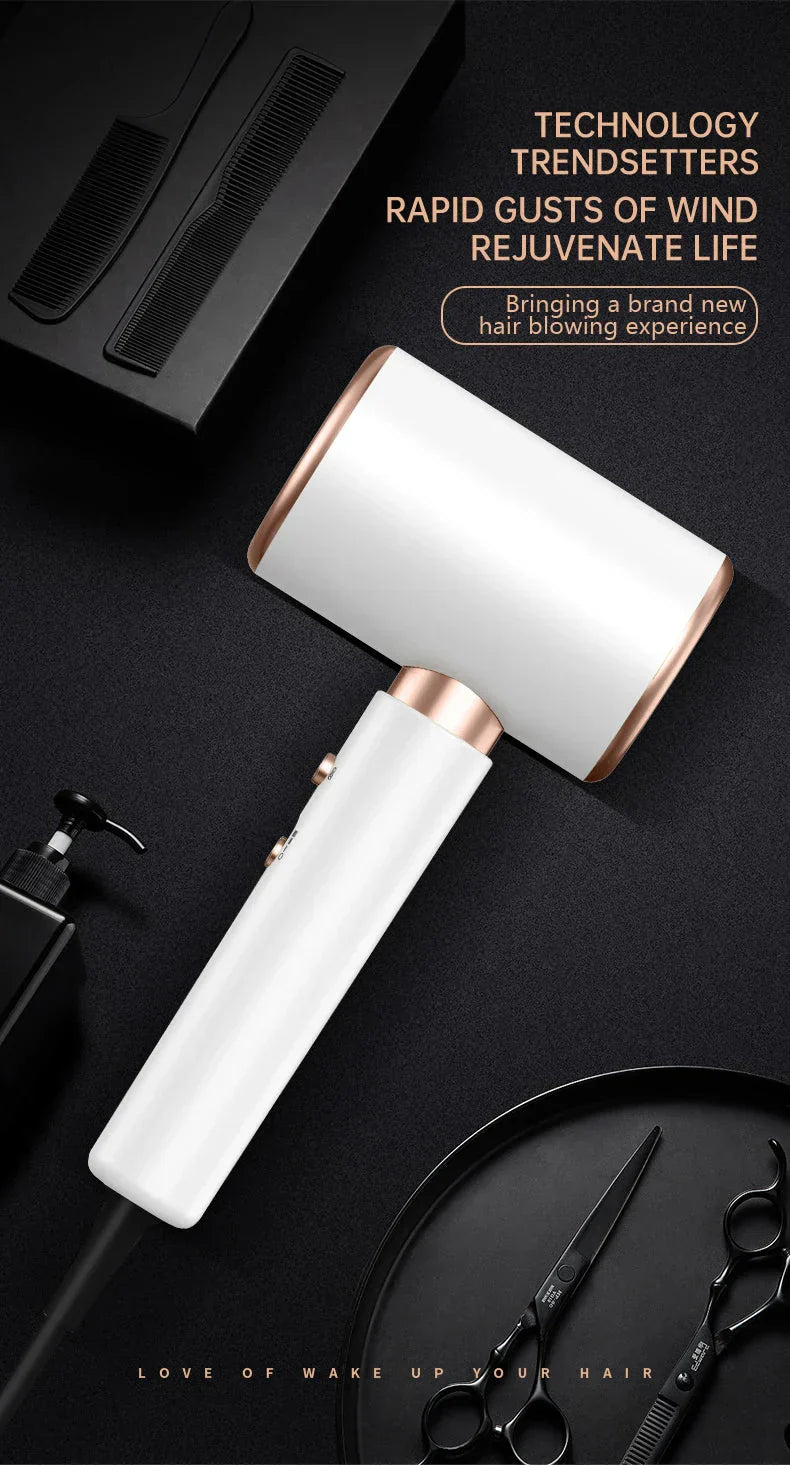 Professional 2400W Ionic Hair Dryer With Hot & Cold Air Function