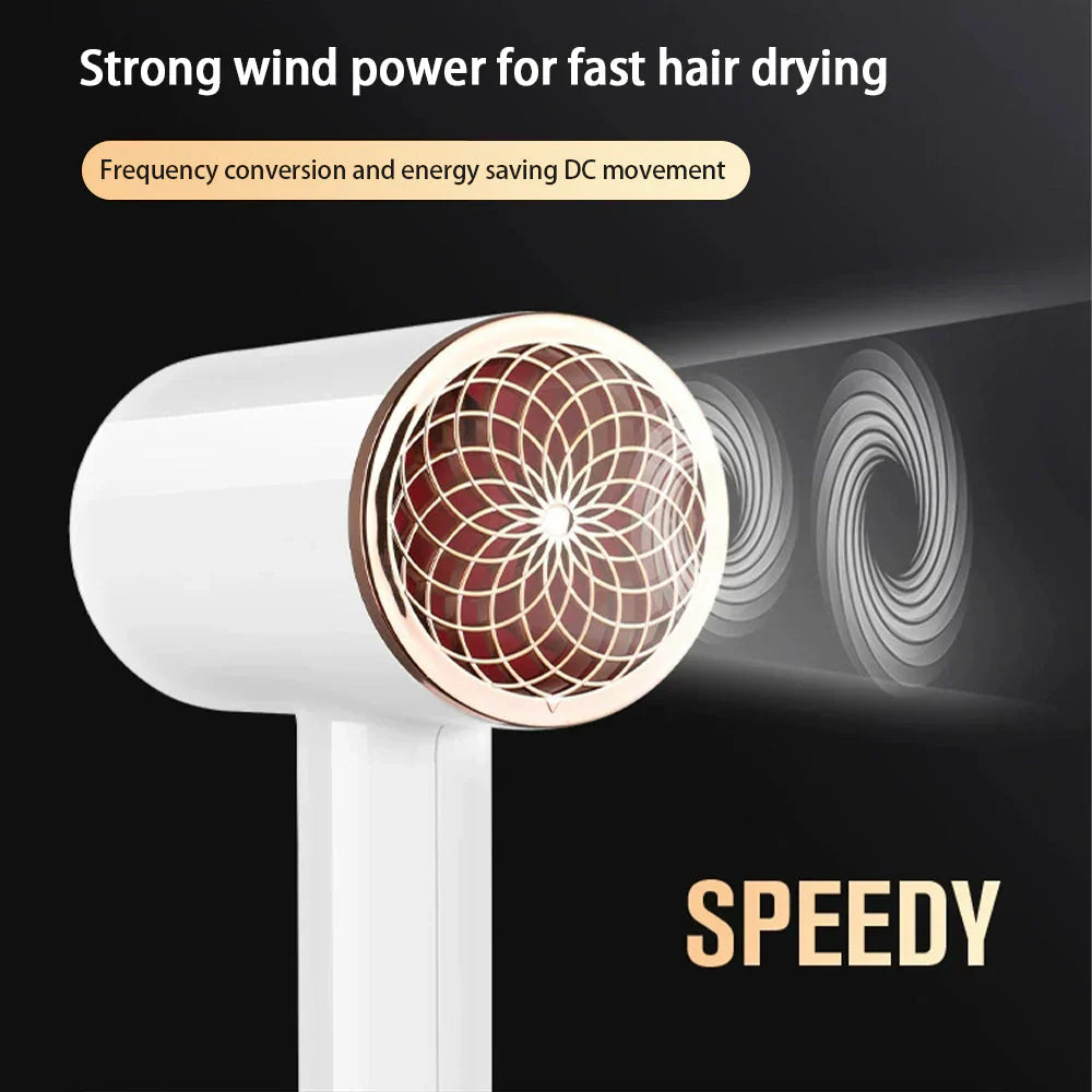 Professional 2400W Ionic Hair Dryer With Hot & Cold Air Function