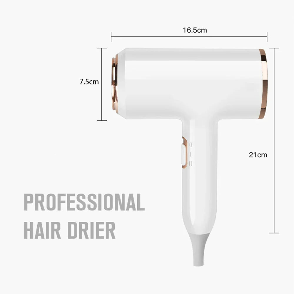 Professional 2400W Ionic Hair Dryer With Hot & Cold Air Function