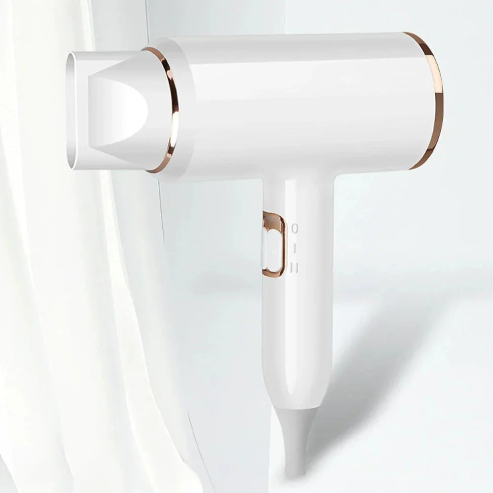 Professional 2400W Ionic Hair Dryer With Hot & Cold Air Function