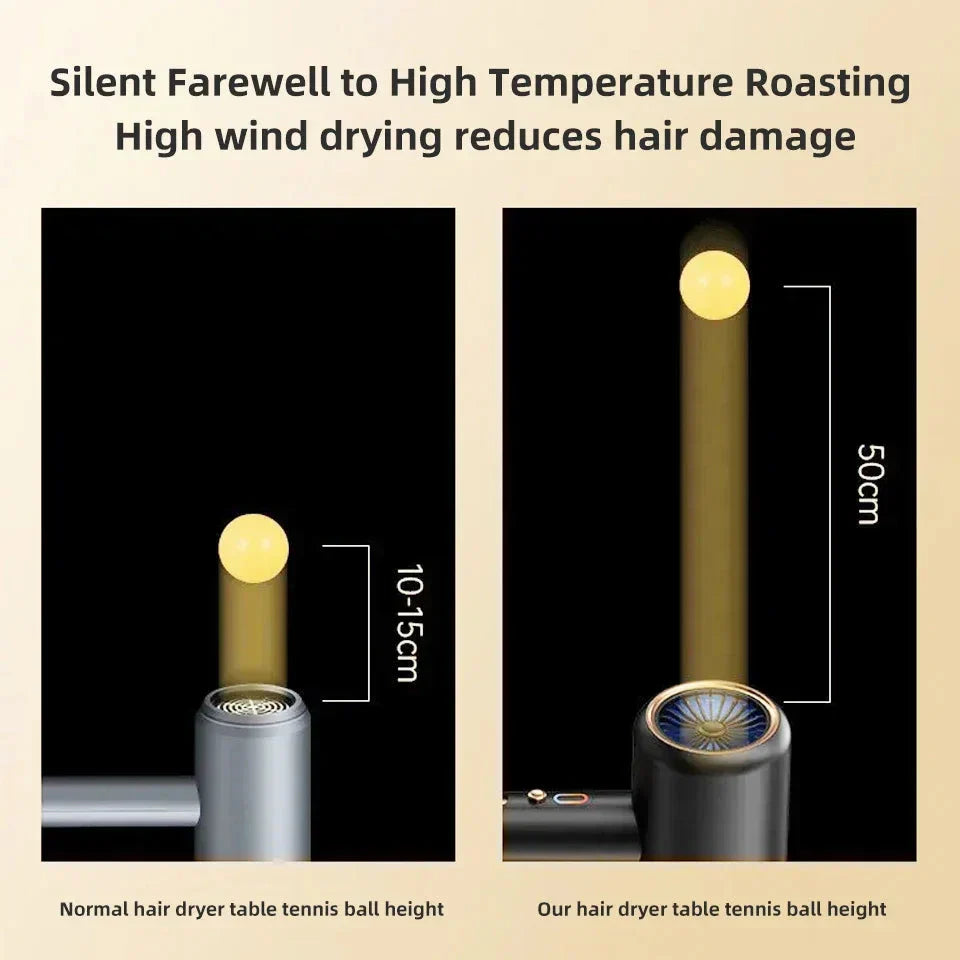 Professional 2400W Ionic Hair Dryer With Hot & Cold Air Function