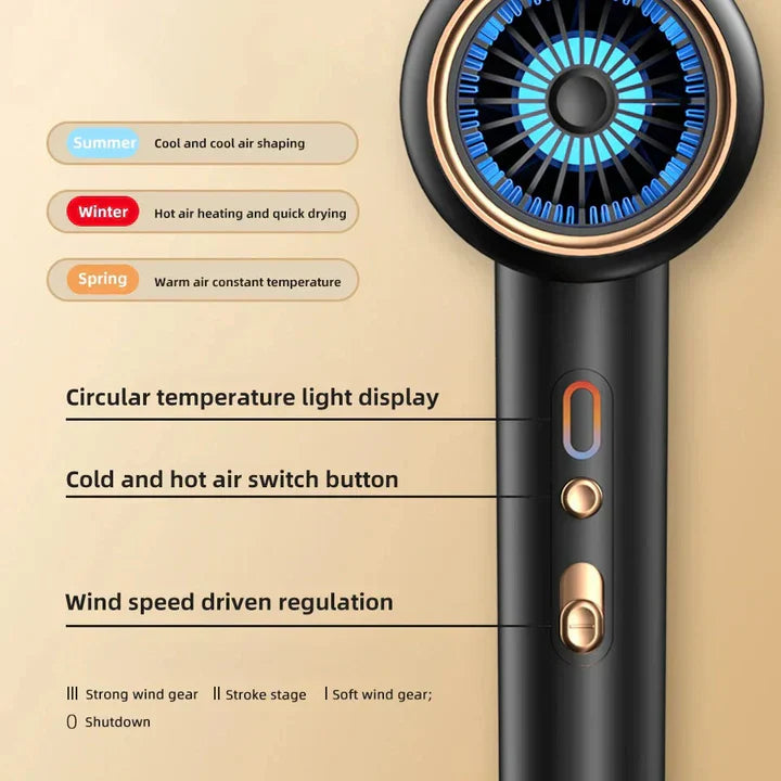 Professional 2400W Ionic Hair Dryer With Hot & Cold Air Function