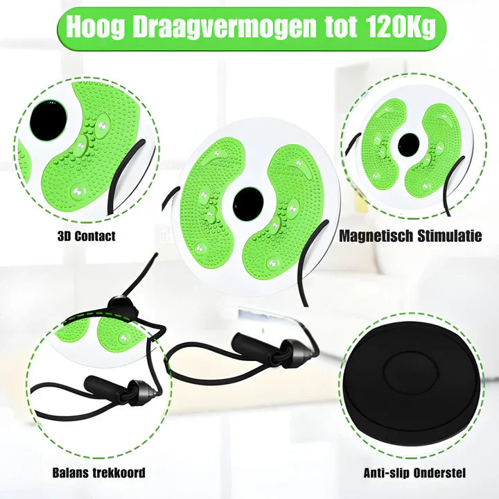 Magnetic Therapy Twisting Balance Board