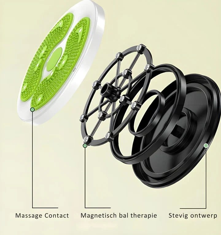 Magnetic Therapy Twisting Balance Board