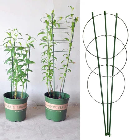 Plant Climbing Support Frame - Sturdy Ring Frame for Vining and Climbing Plants