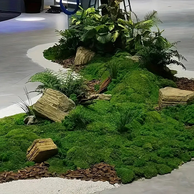 Moss Decoration Piece - Natural Moss Flake for Landscaping and Decorative Accents