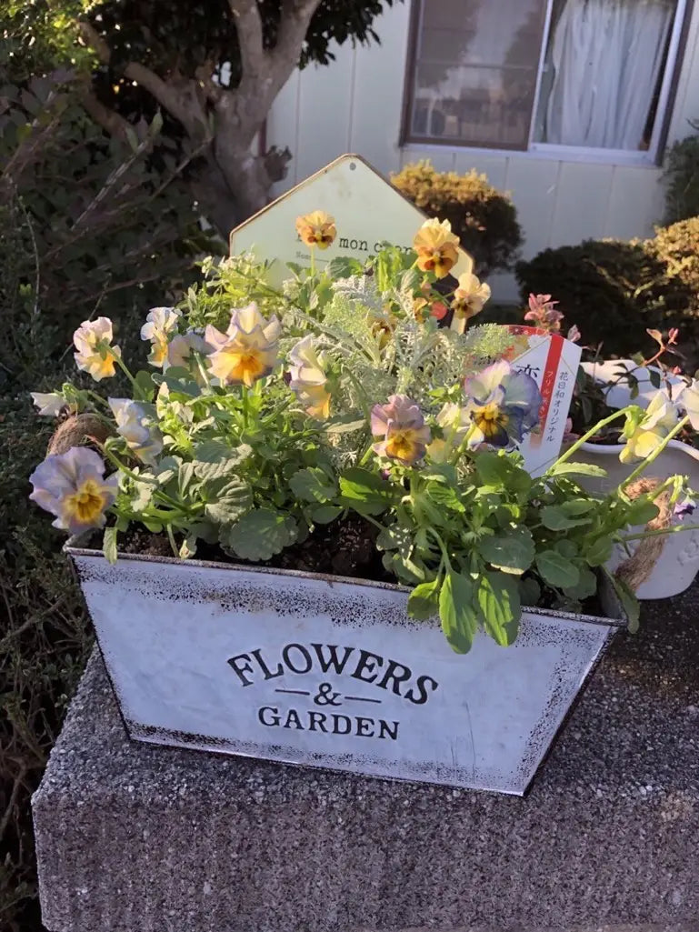 Metal Garden Planter with Hemp Rope Handles – Decorative Flower Pot for Outdoor Use