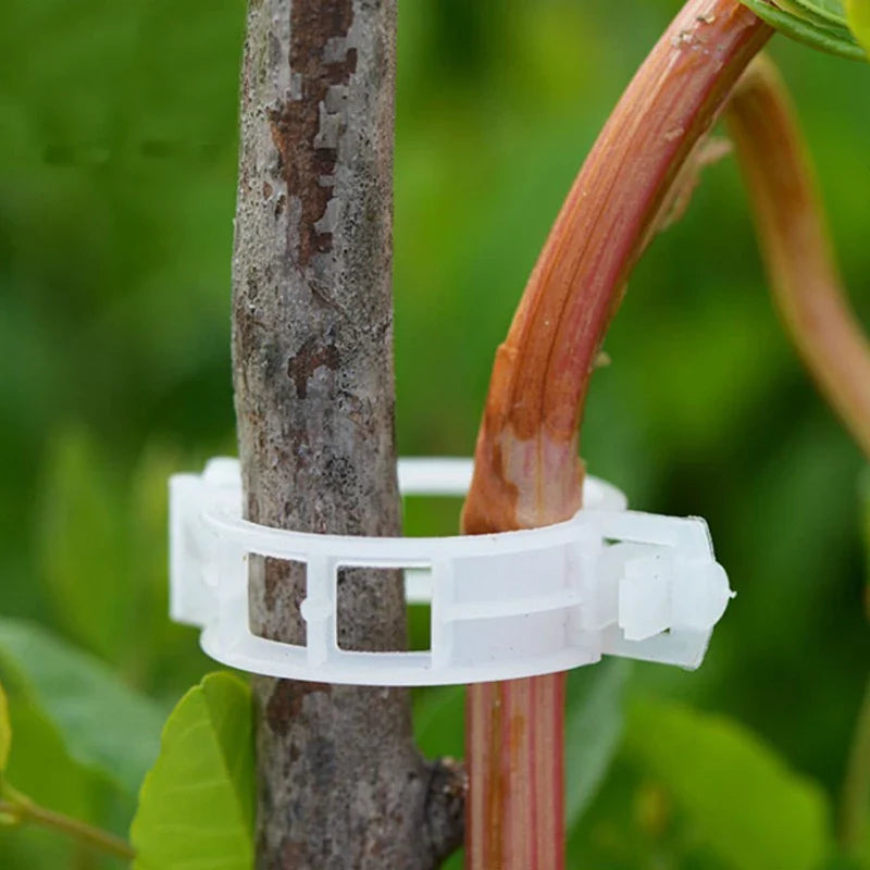 Flexible Plant Stem Support Clips – Adjustable Holders for Climbing Plants