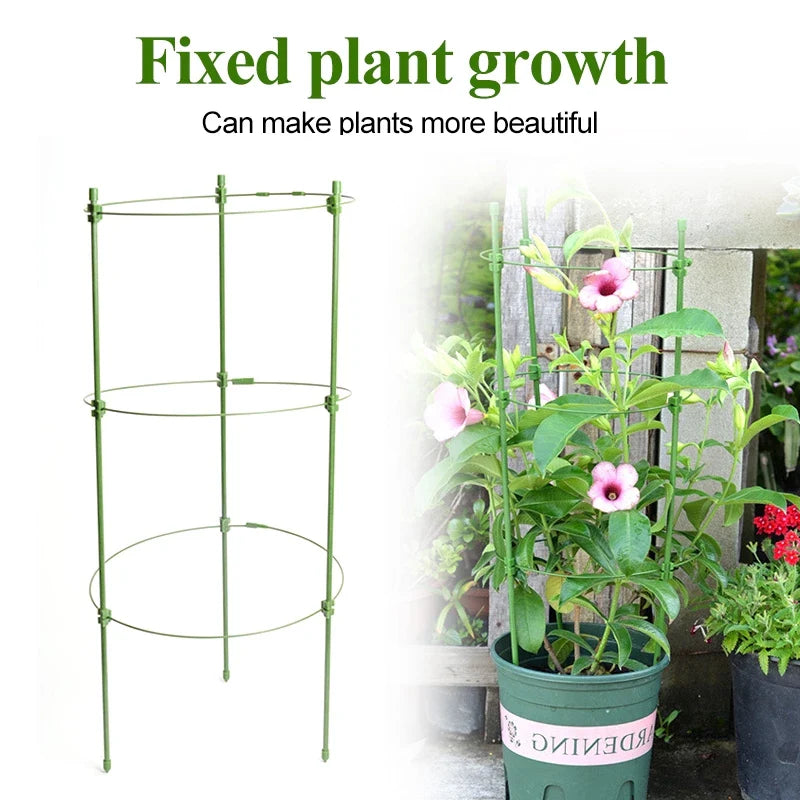 Plant Climbing Support Frame - Sturdy Ring Frame for Vining and Climbing Plants