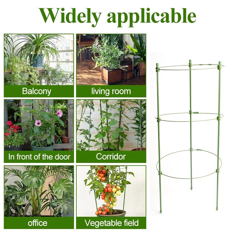 Plant Climbing Support Frame - Sturdy Ring Frame for Vining and Climbing Plants