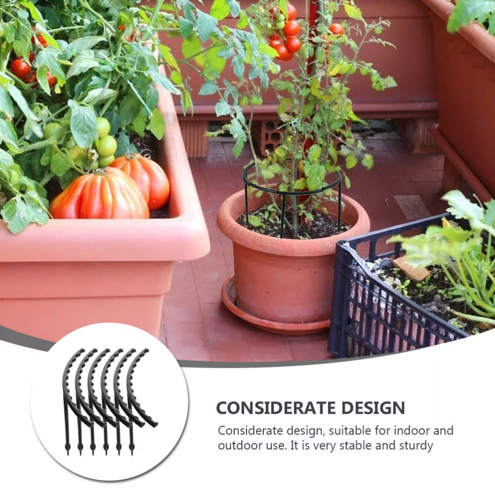 Plant Climbing Support Cage - Sturdy Structure for Enhanced Growth and Stability