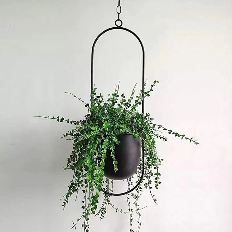 Stylish Hanging Planter For Indoor & Outdoor Spaces